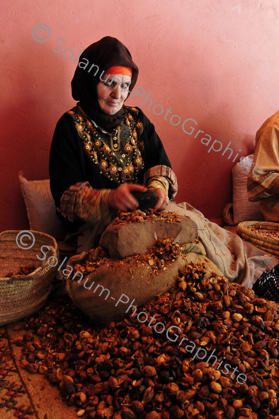 Solanum association de femmes traitement de l'Argan Marrakech